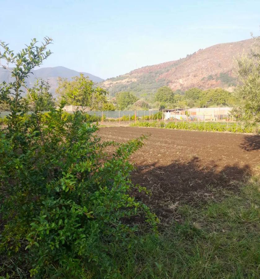 Terreno Agricolo in vendita a Nocera Inferiore