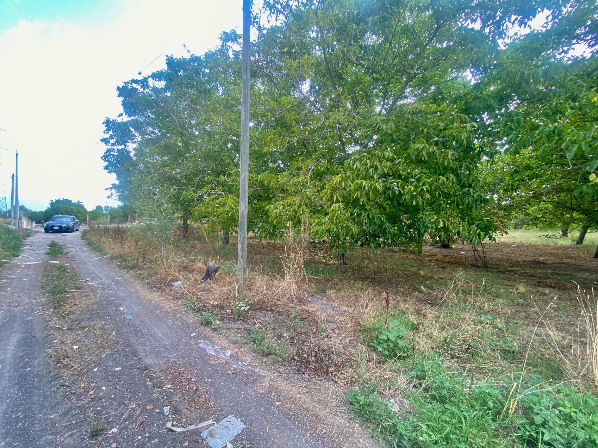 Terreno agricolo in vendita a Nola