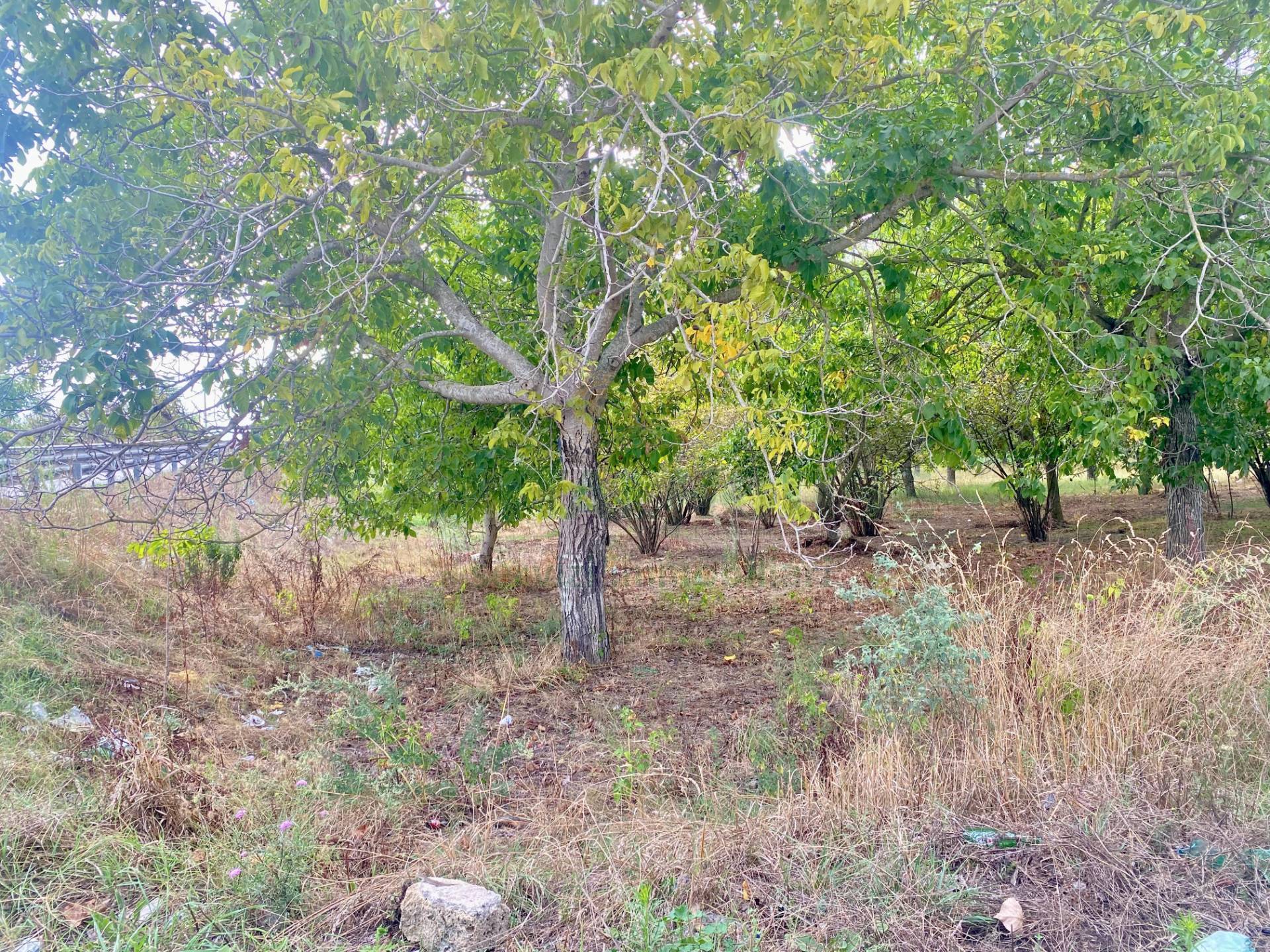 Terreno agricolo in vendita a Nola