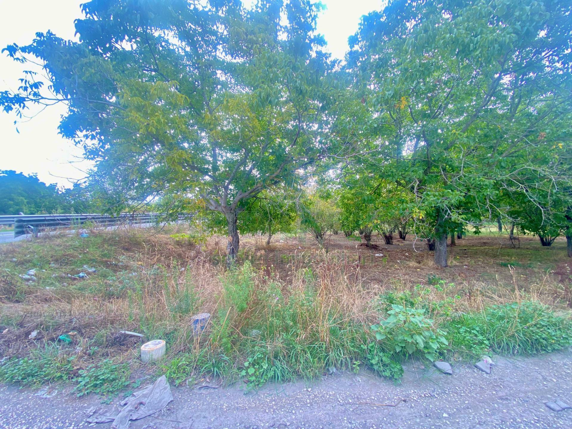Terreno agricolo in vendita a Nola