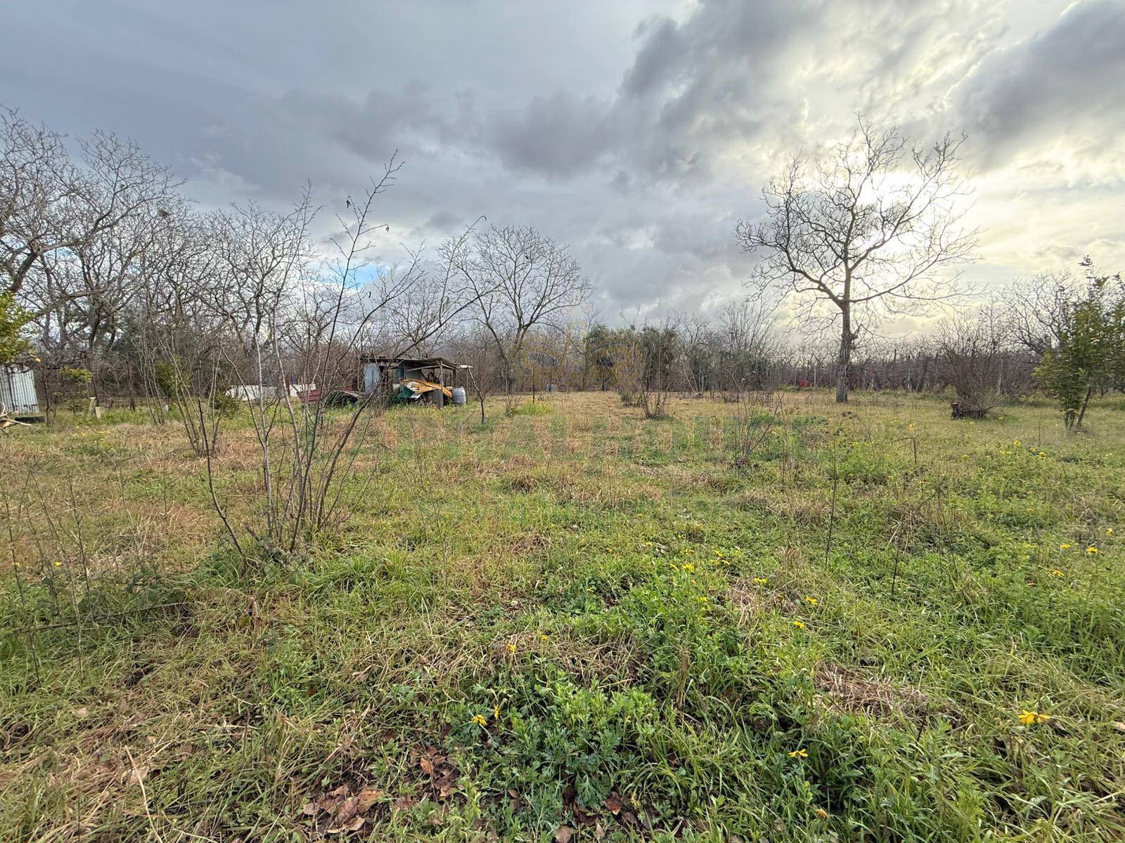 Terreno agricolo in vendita a Nola