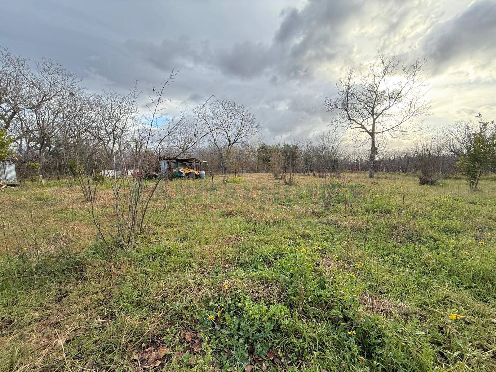 Terreno agricolo in vendita a Nola