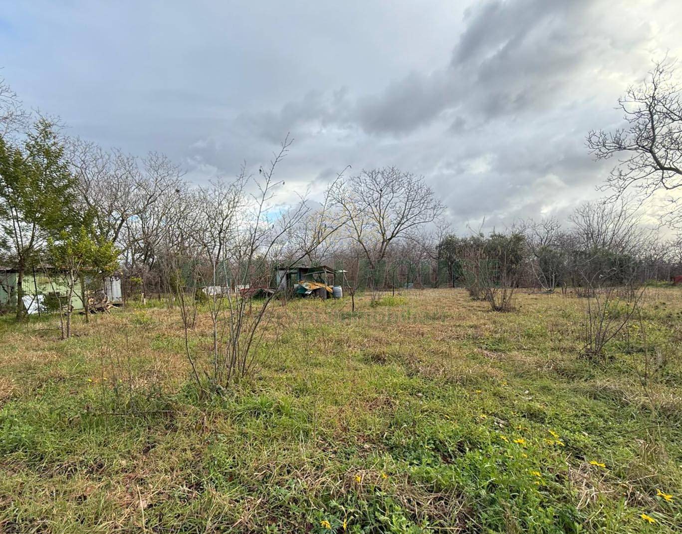 Terreno agricolo in vendita a Nola