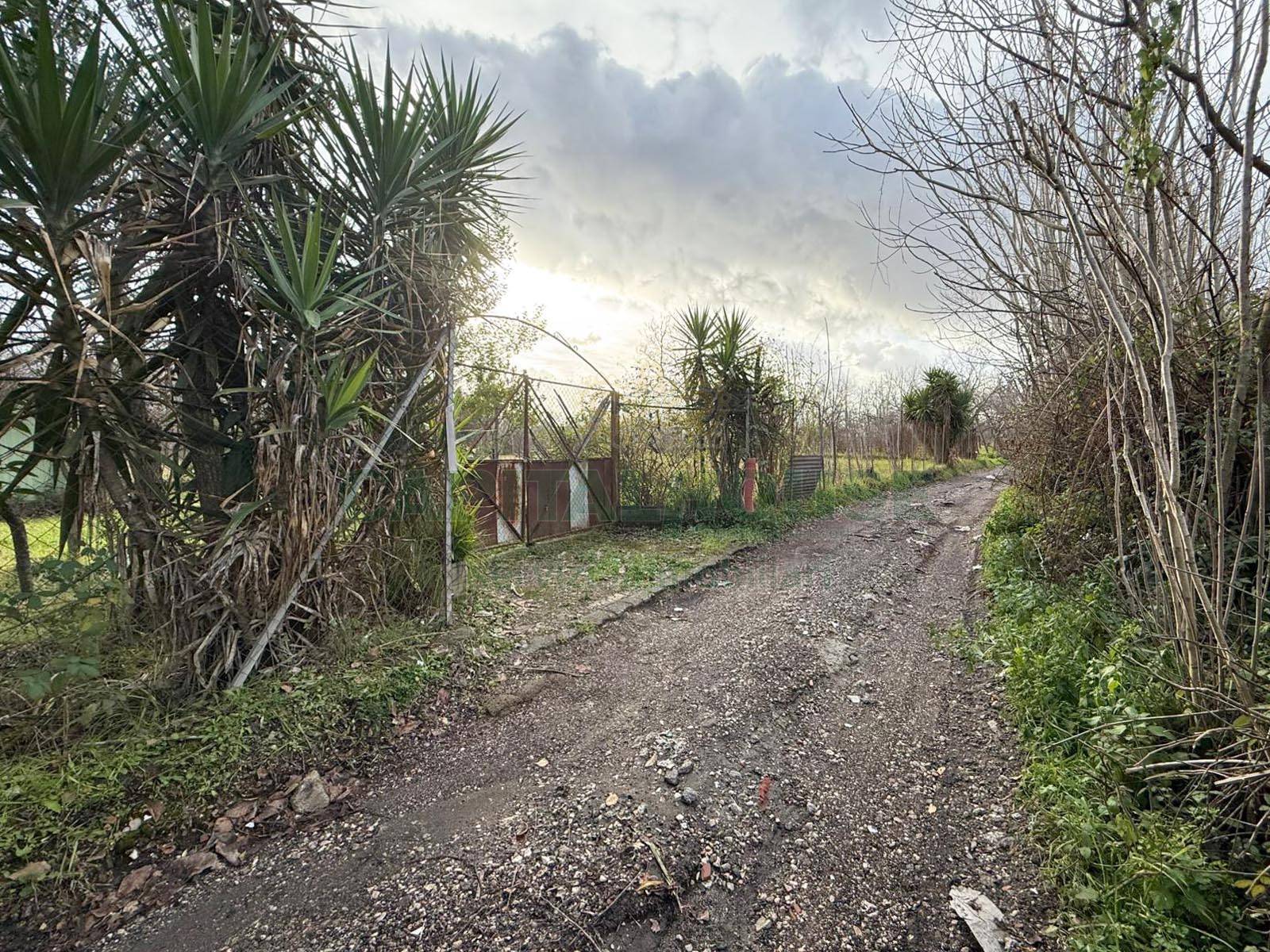 Terreno agricolo in vendita a Nola