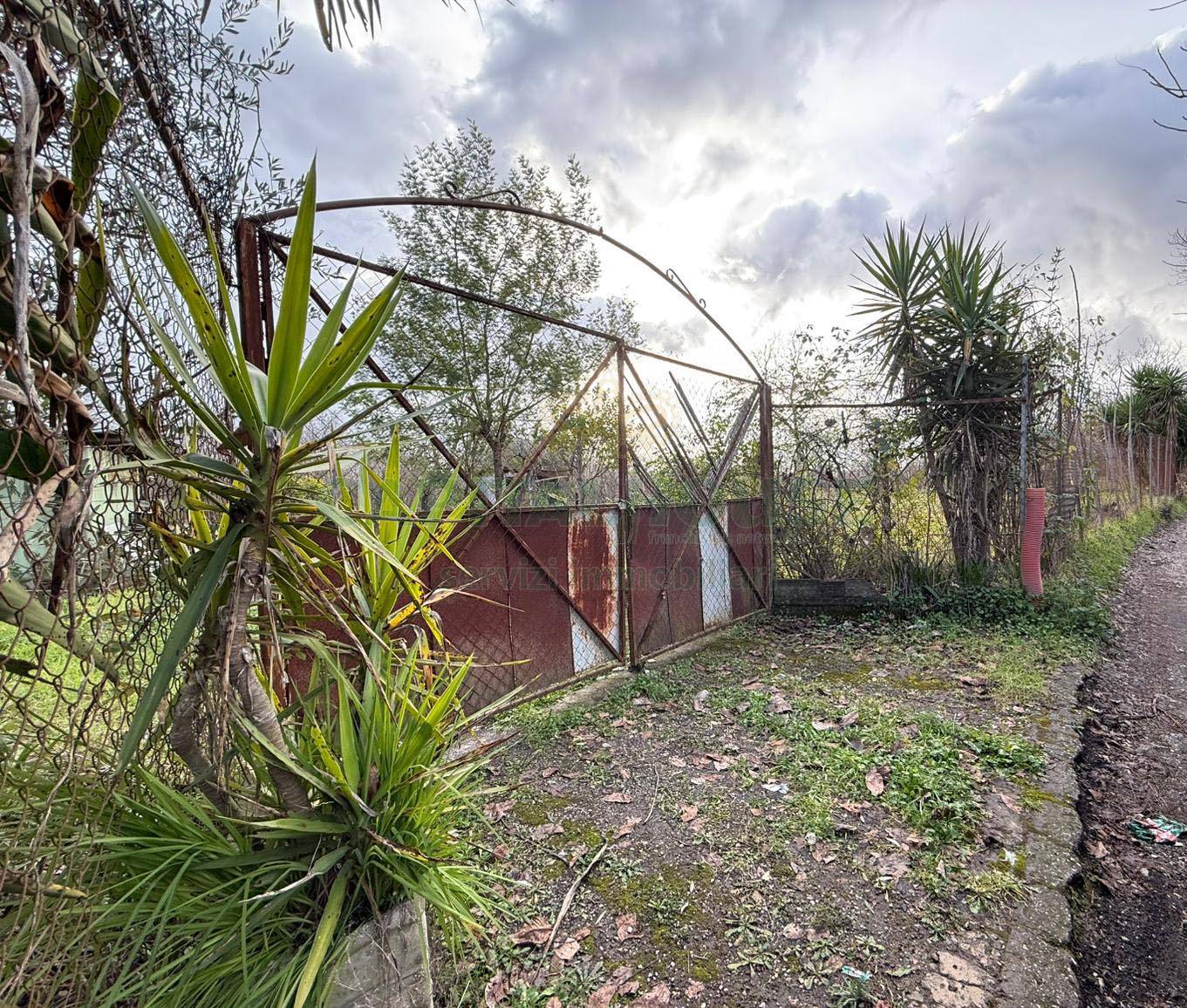 Terreno agricolo in vendita a Nola