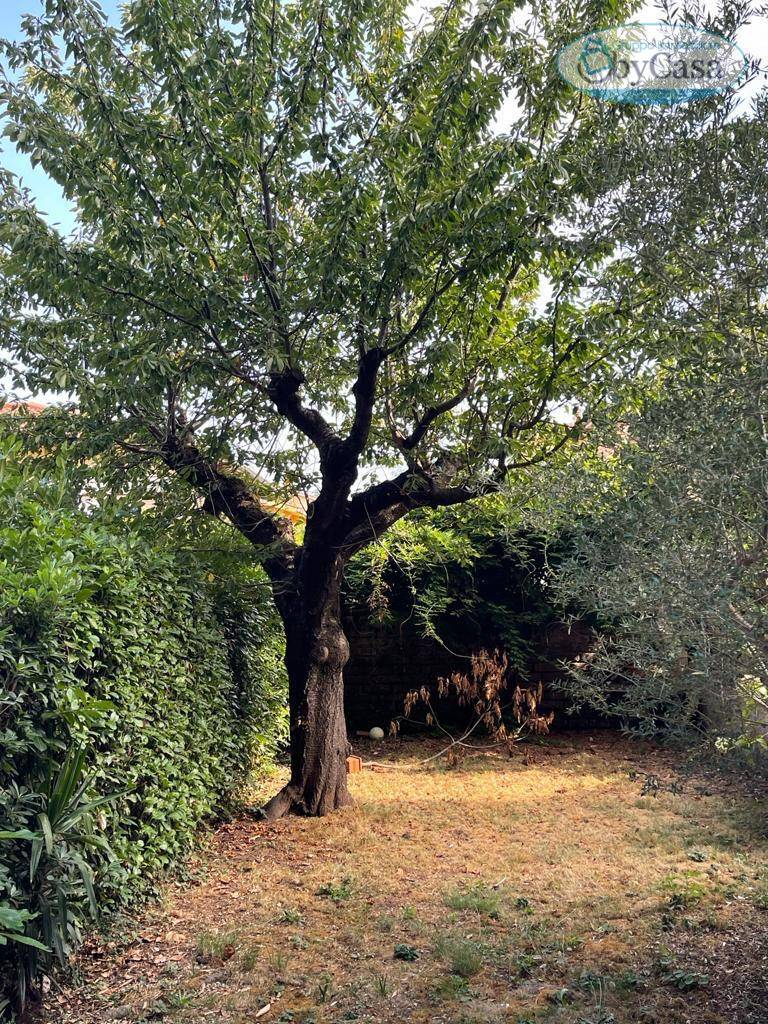 Appartamento in vendita a Manziana, le grazie