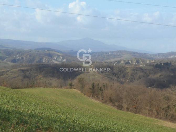 Terreno agricolo in vendita a Ficulle