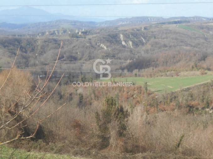 Terreno agricolo in vendita a Ficulle