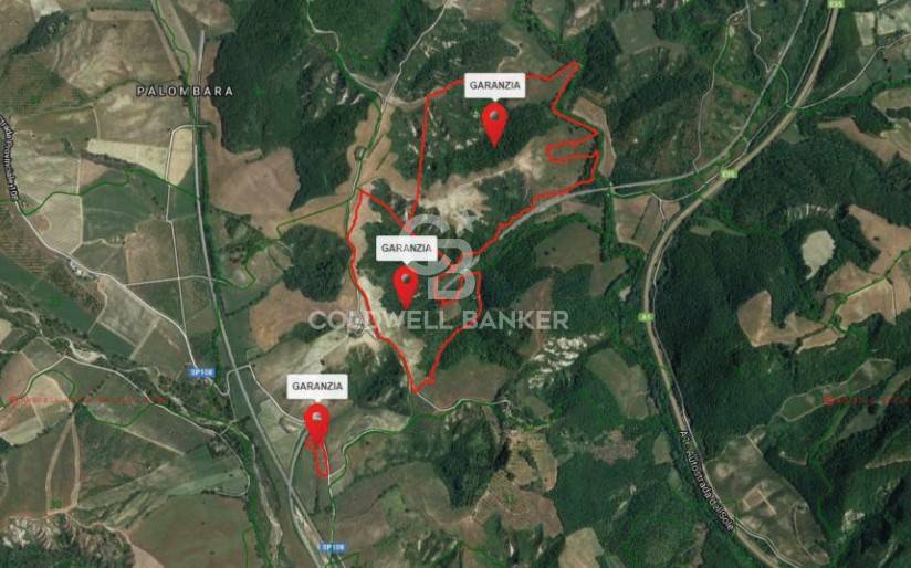 Terreno agricolo in vendita a Ficulle