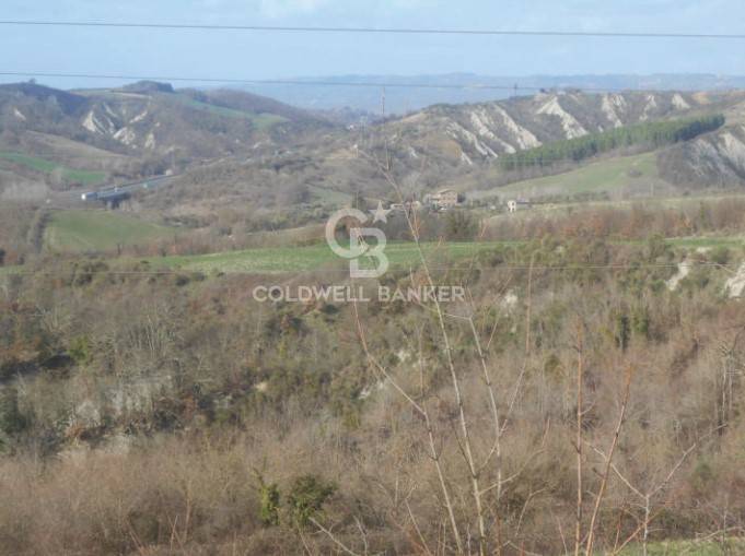 Terreno agricolo in vendita a Ficulle