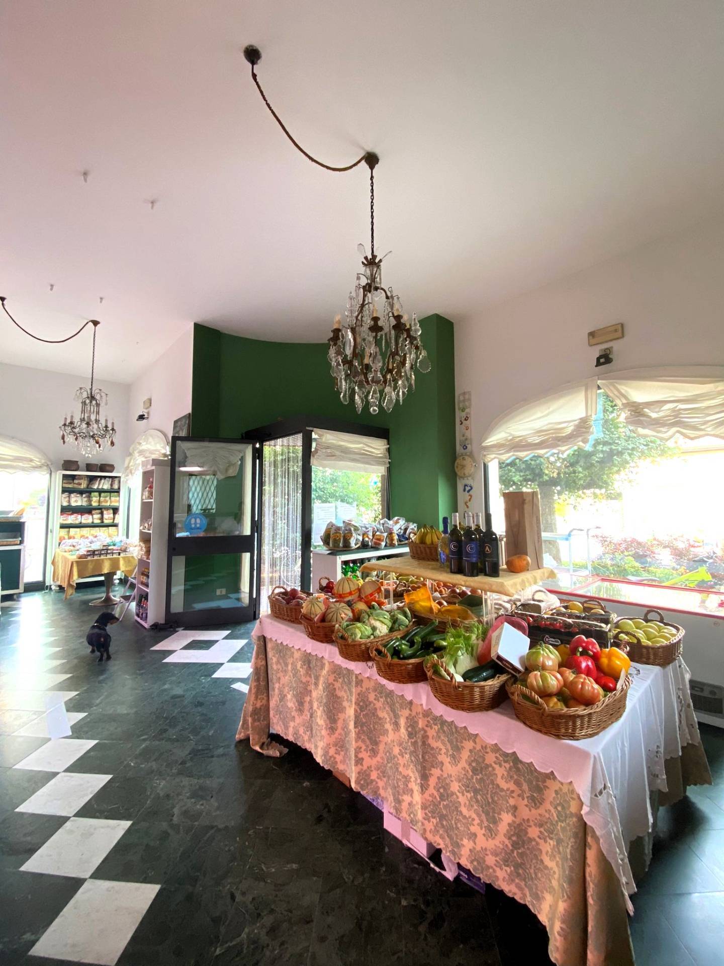 immagine annuncio 3 di 10