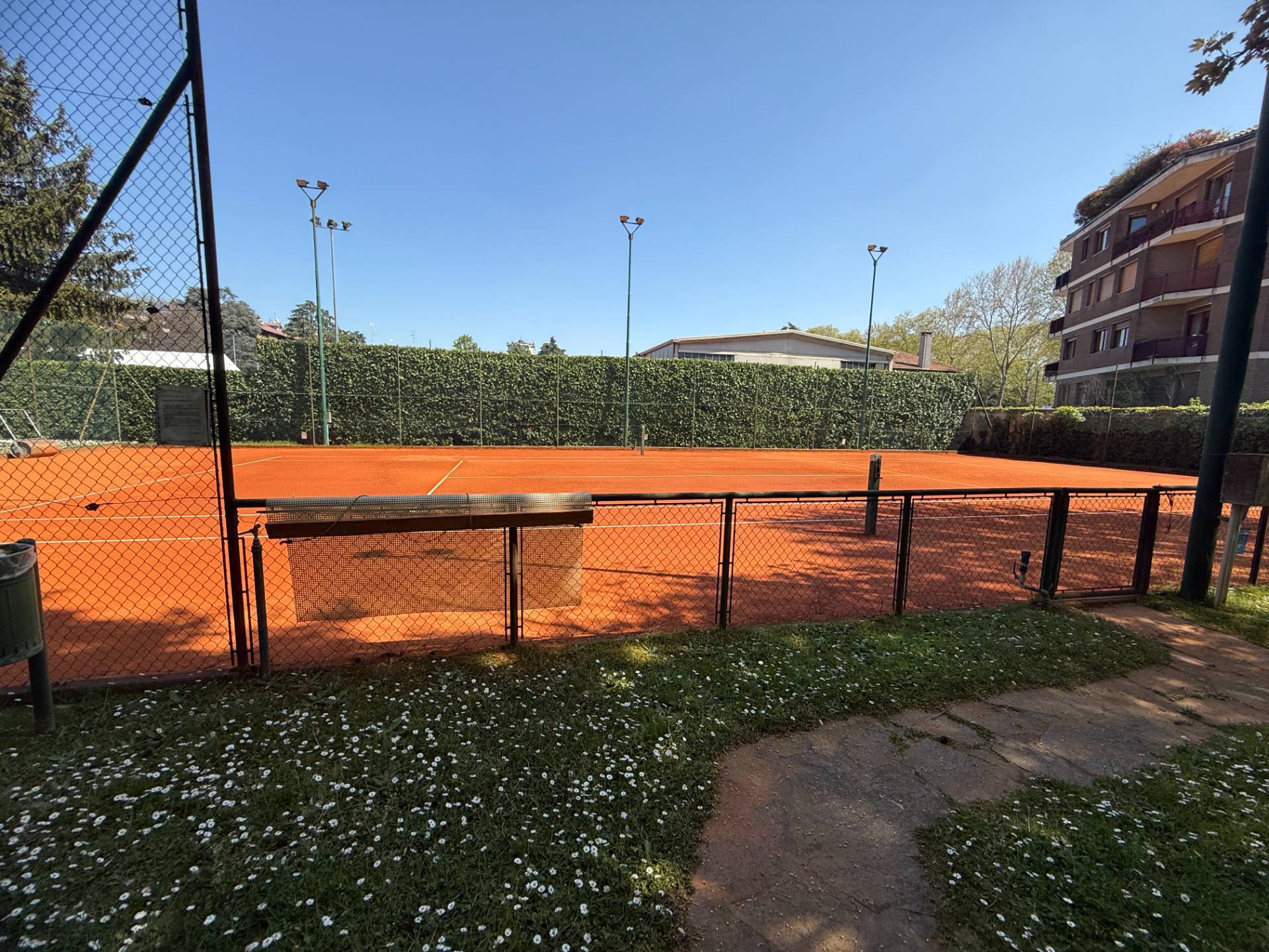 immagine annuncio 7 di 10