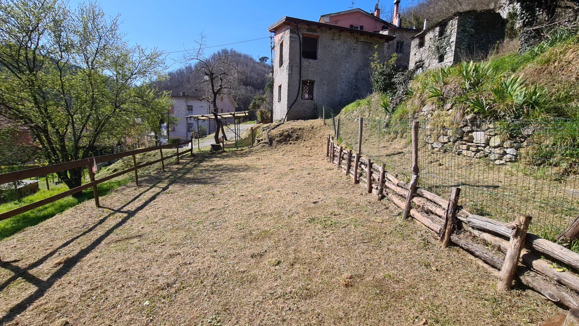 immagine annuncio 3 di 10