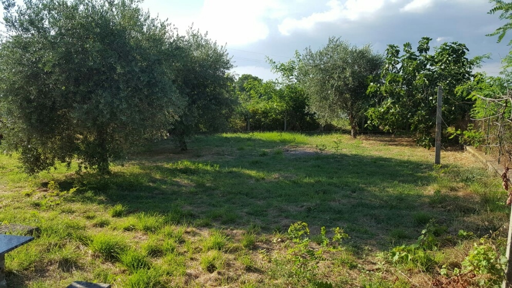 Rustico/Casale/Corte in vendita a Civita Castellana