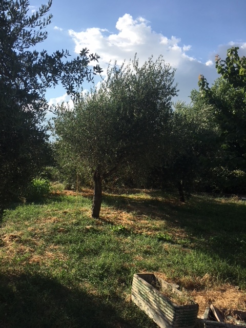 Rustico/Casale/Corte in vendita a Civita Castellana