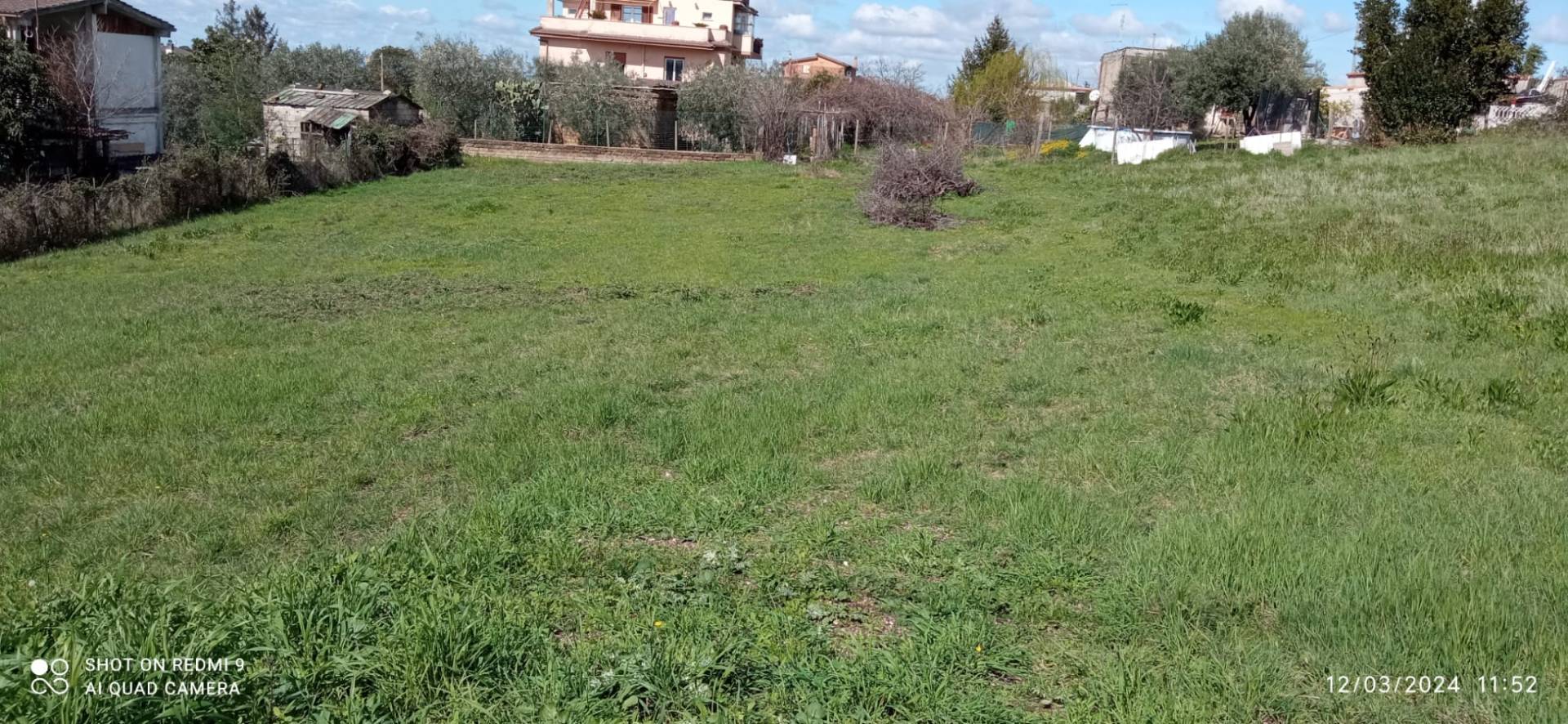 immagine annuncio 5 di 7