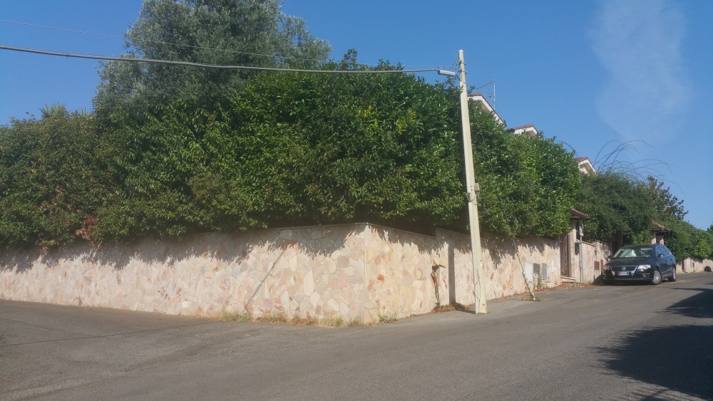 immagine annuncio 2 di 6
