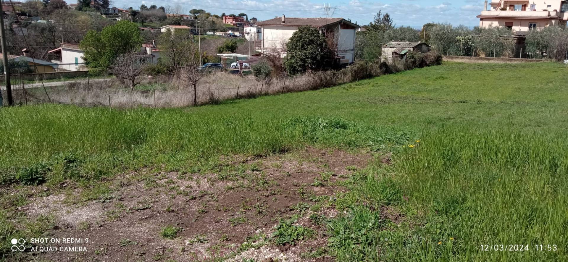 immagine annuncio 2 di 7