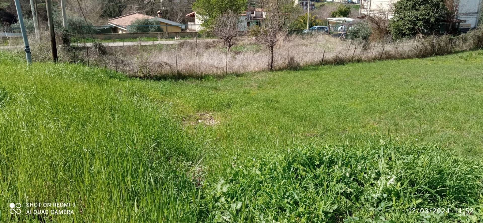 immagine annuncio 3 di 7