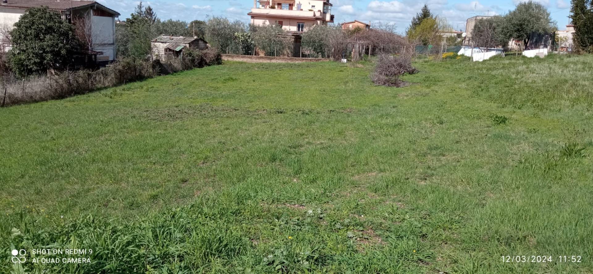 immagine annuncio 4 di 7