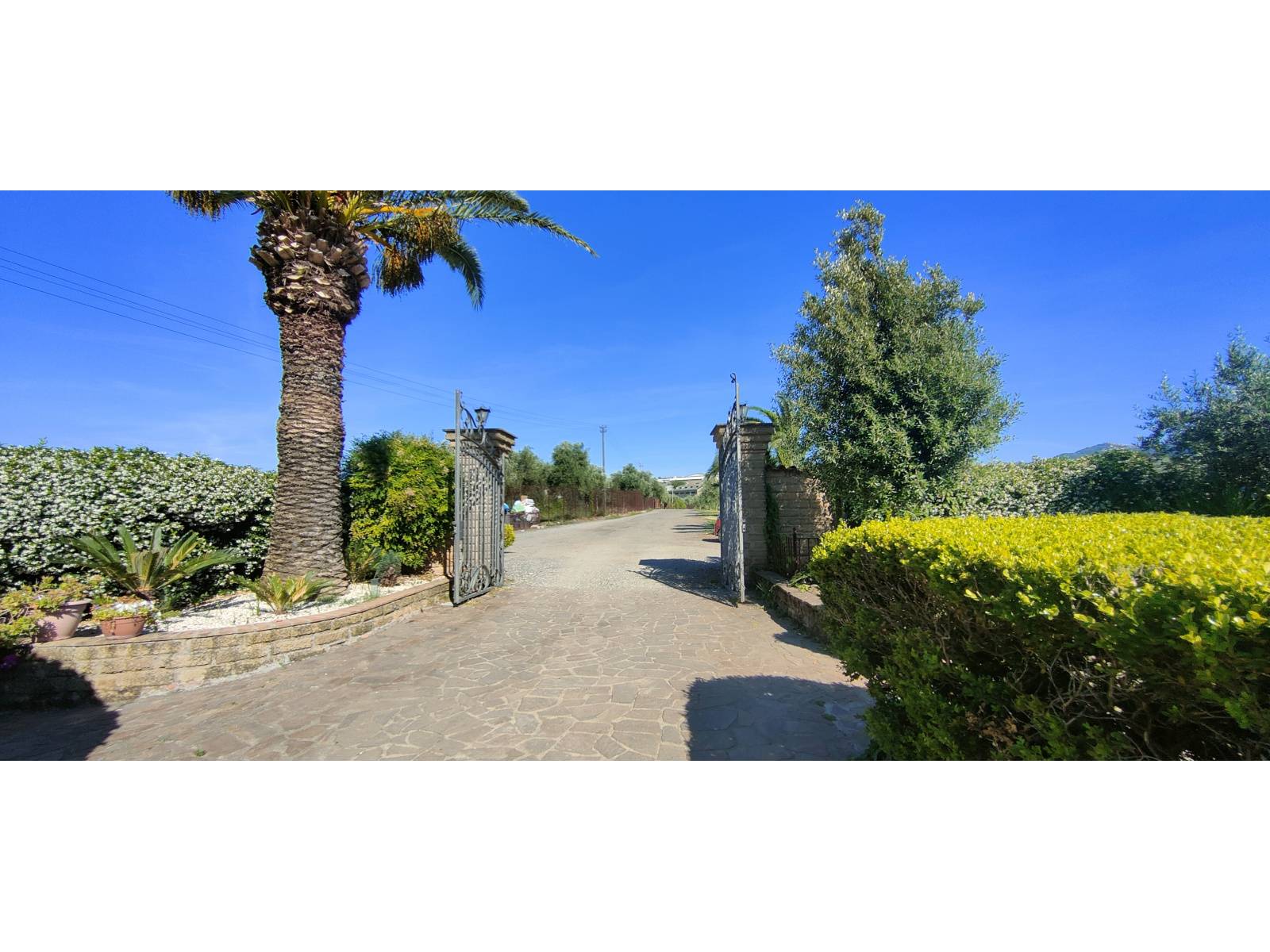 Casa singola in vendita a Frascati