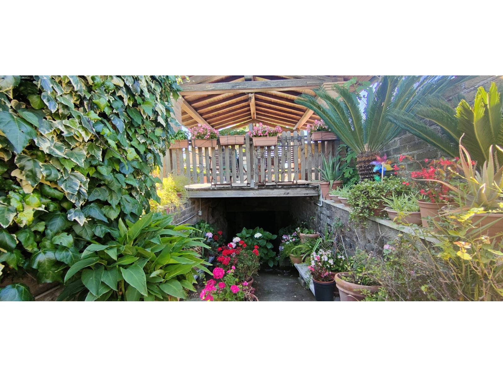 Casa singola in vendita a Frascati