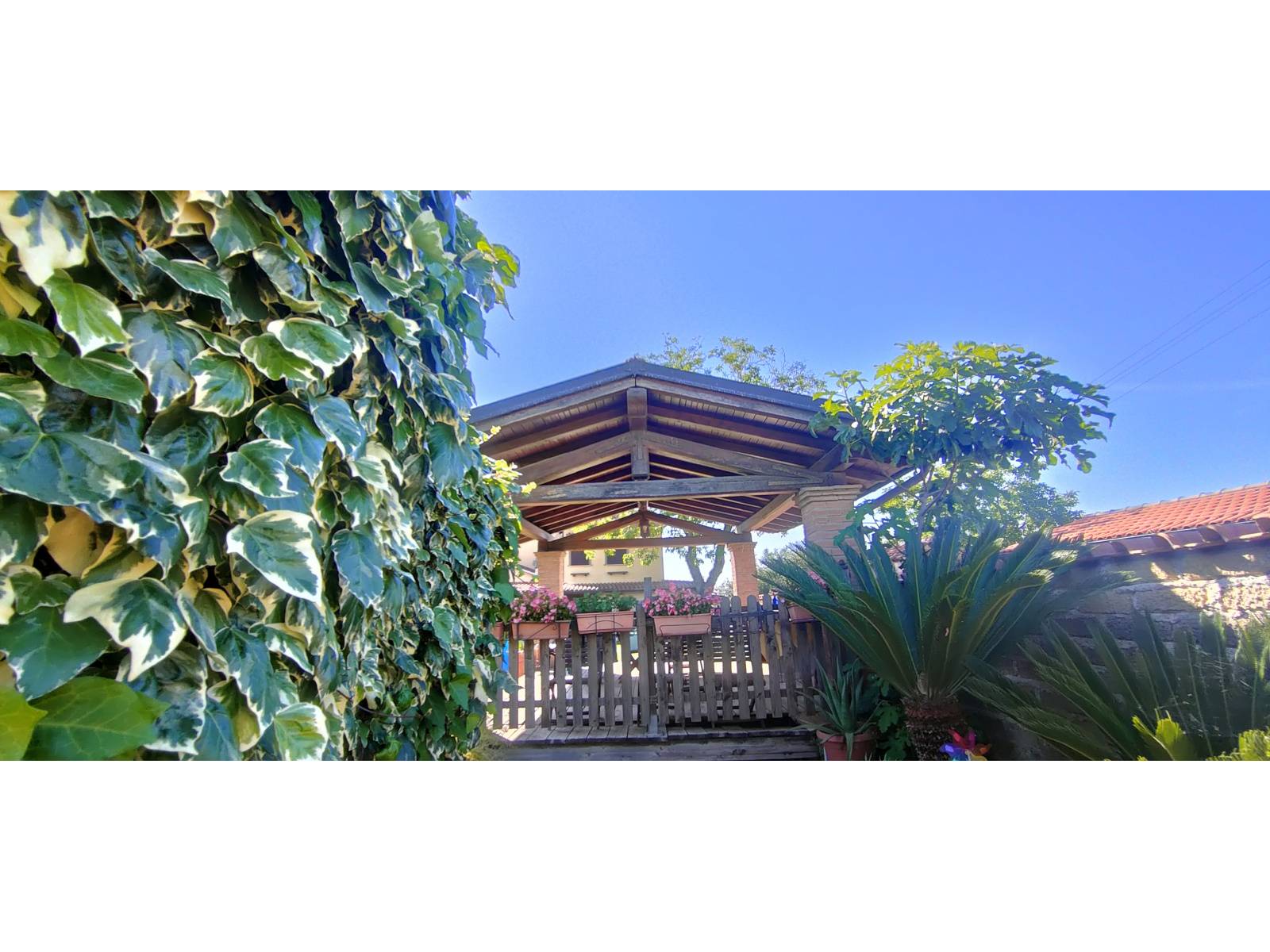 Casa singola in vendita a Frascati