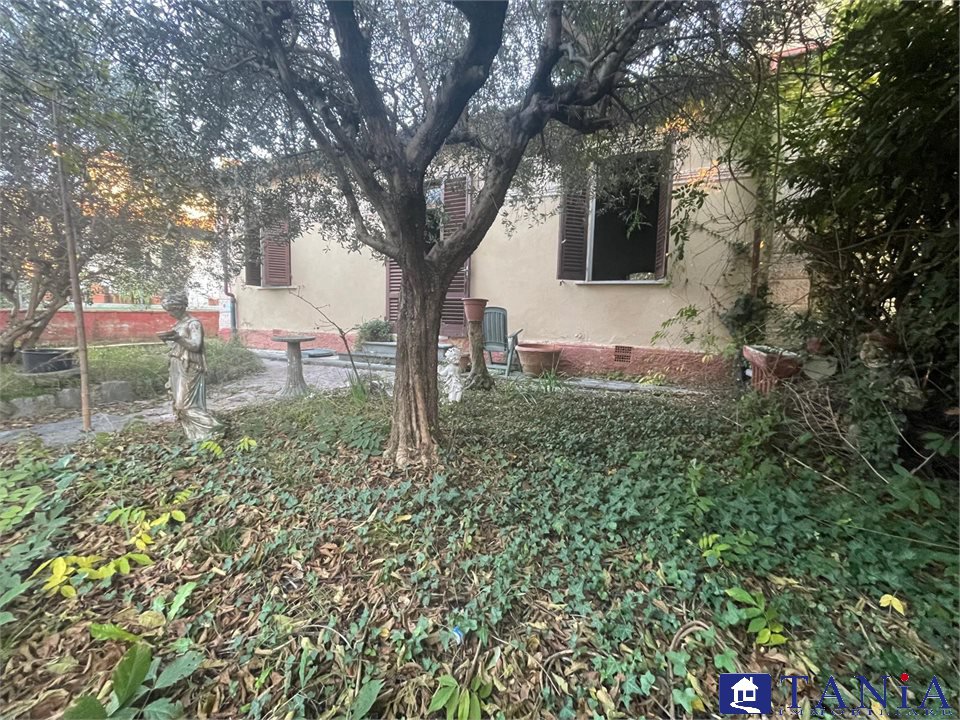 Casa indipendente in vendita a Camaiore