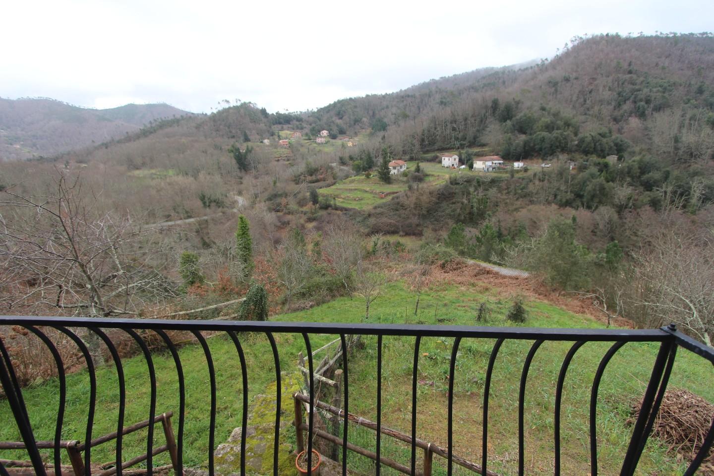 Attivit� commerciale in vendita a Pignone