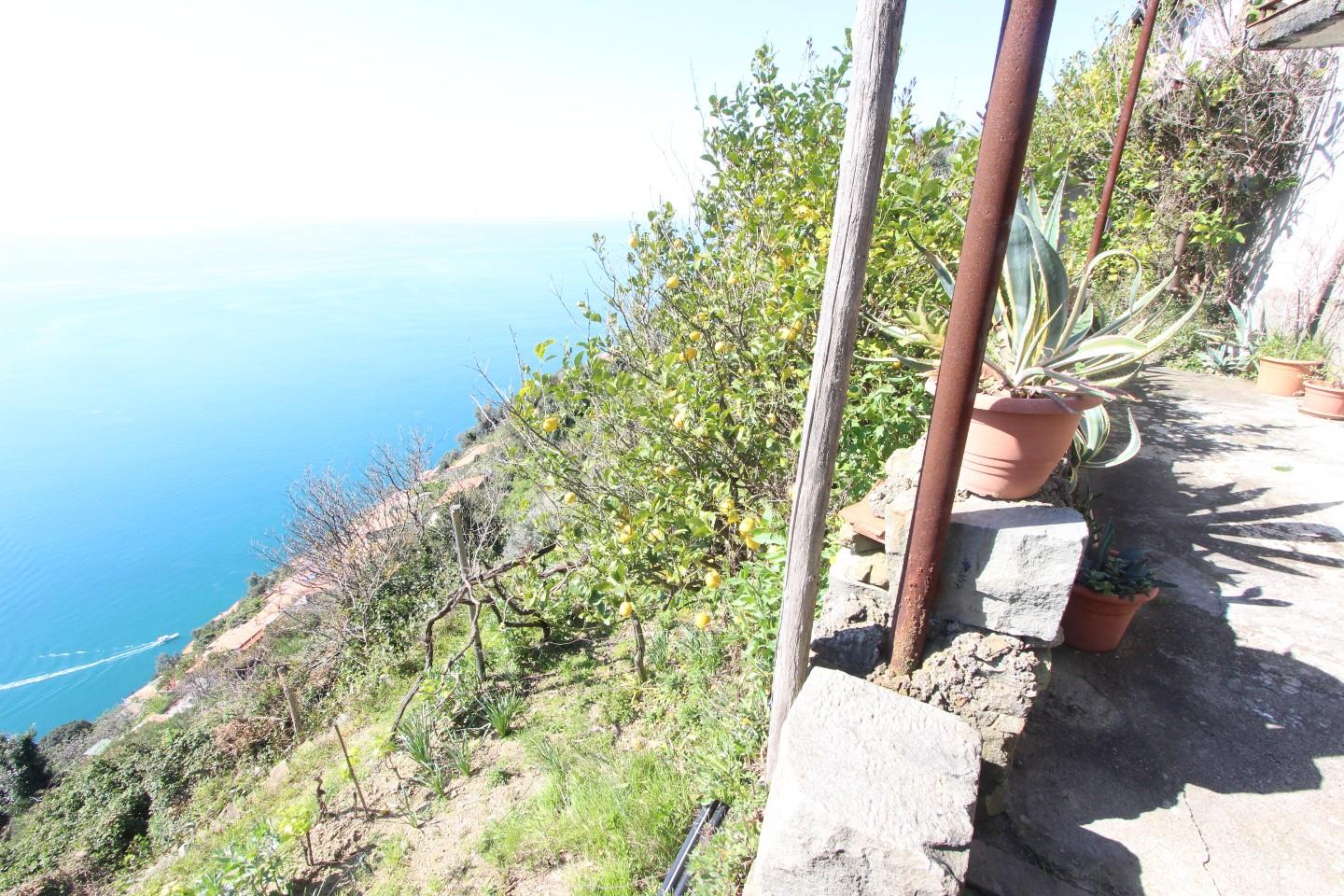 Quadrilocale con giardino a La Spezia