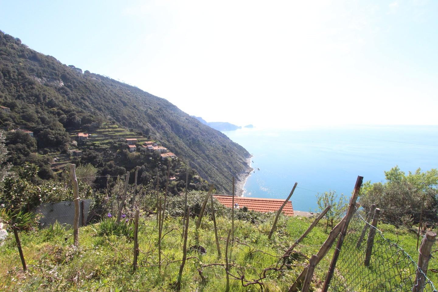 Quadrilocale con giardino a La Spezia
