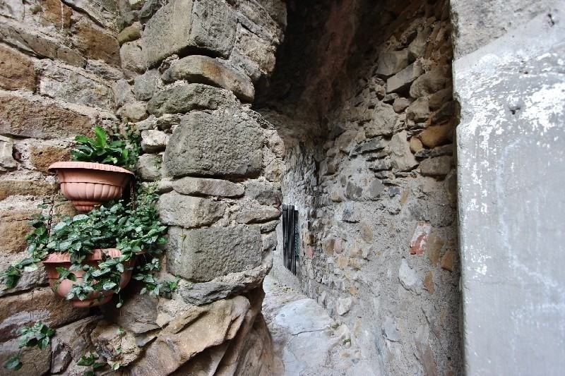 Rustico in vendita, Aulla caprigliola