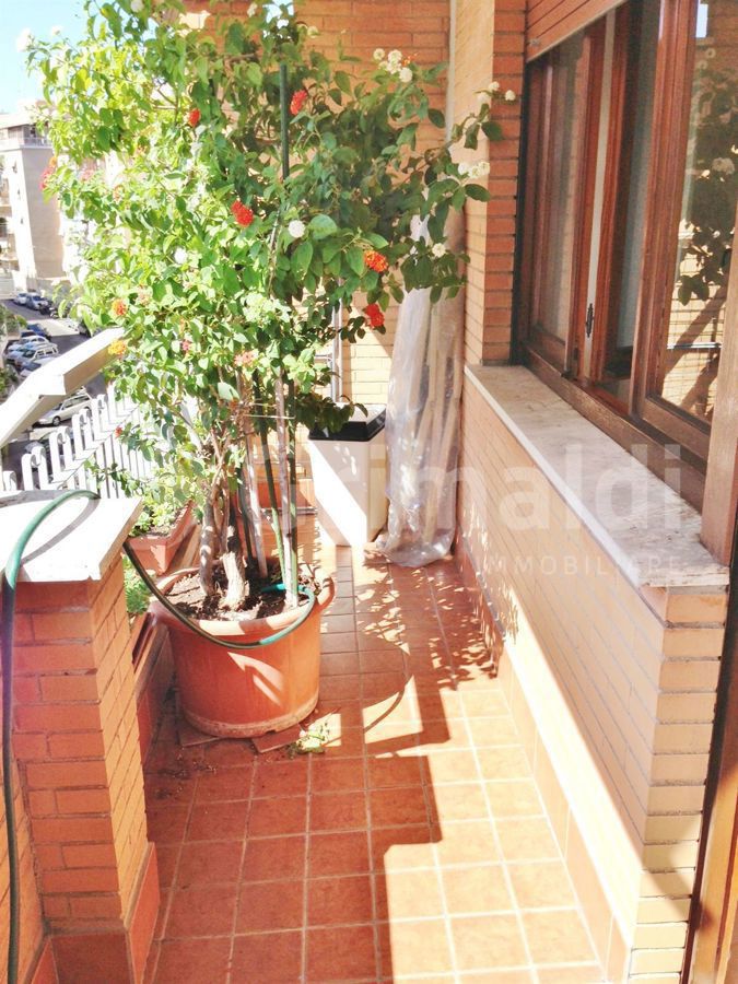 Monolocale arredato in affitto a Roma