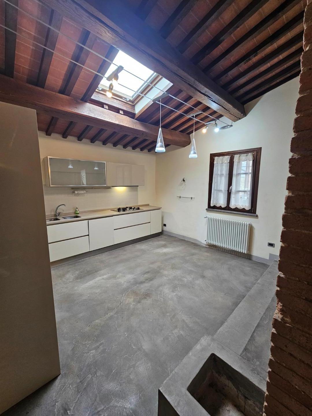 Casa indipendente in affitto a Collesalvetti