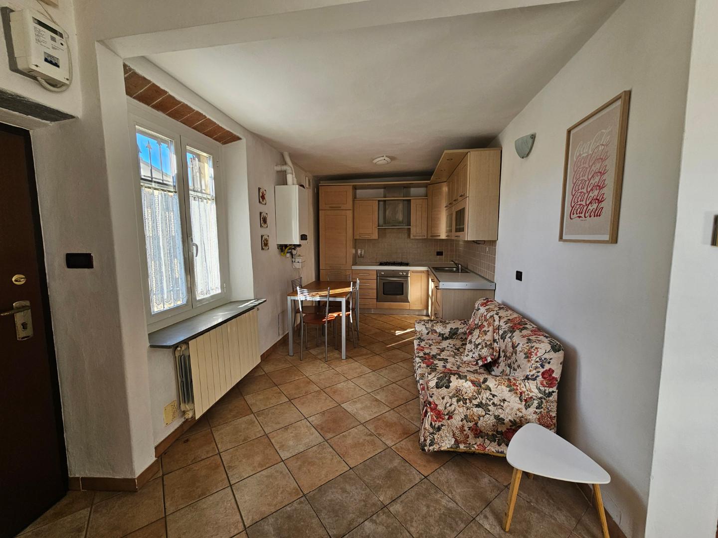 Bilocale arredato in affitto a Collesalvetti