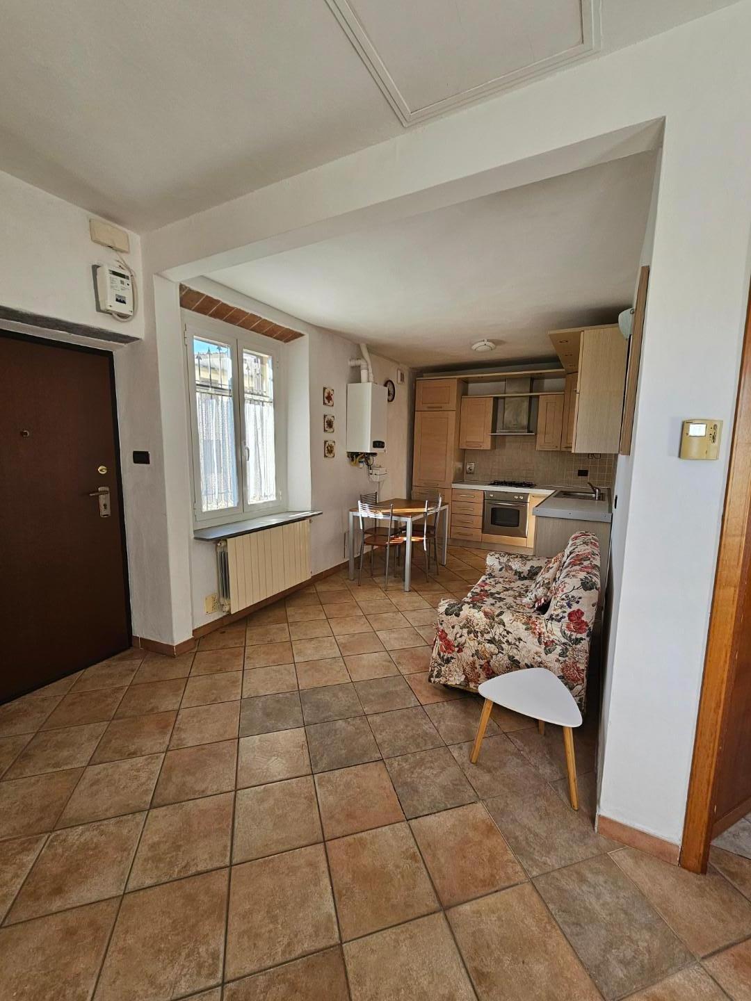 Bilocale arredato in affitto a Collesalvetti