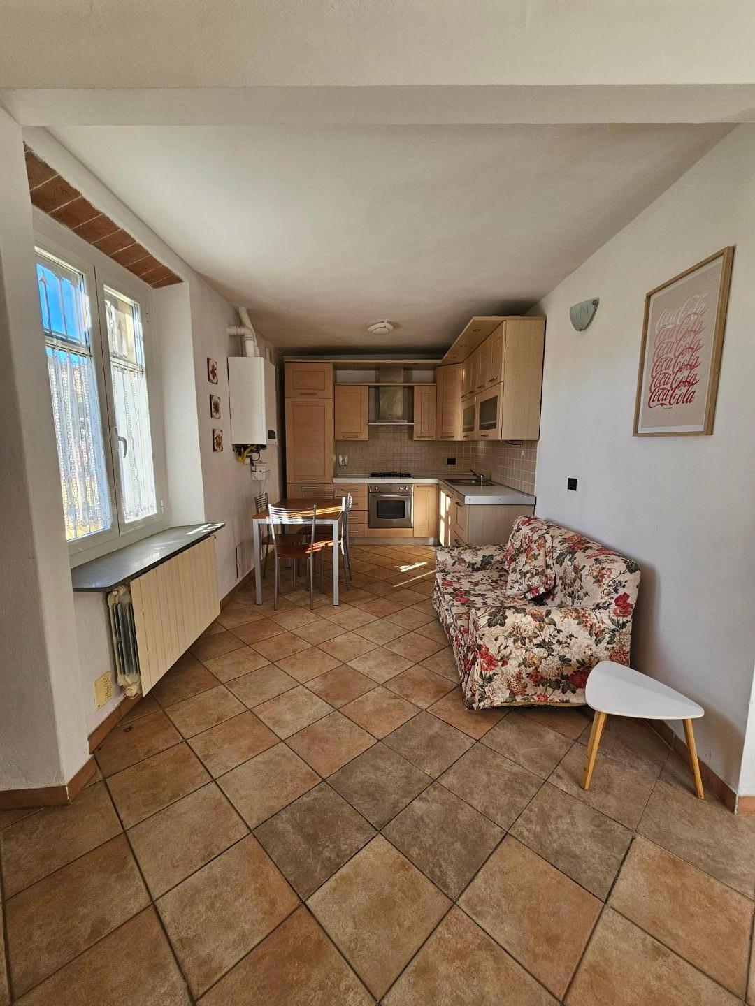 Bilocale arredato in affitto a Collesalvetti