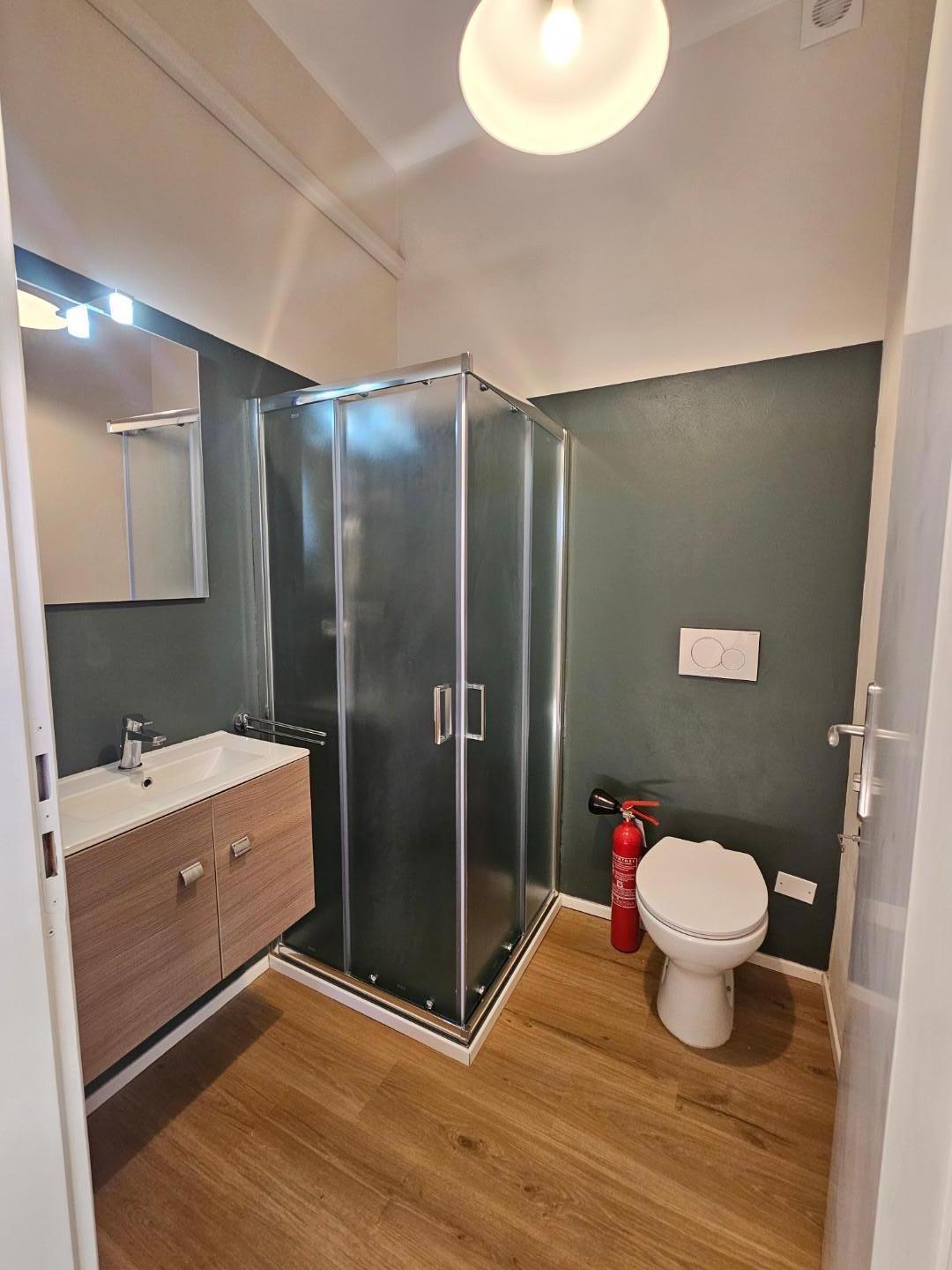 Quadrilocale arredato in affitto a Collesalvetti