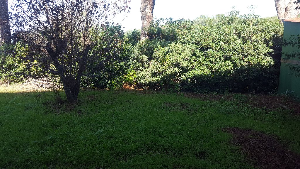 Monolocale con giardino a Fauglia