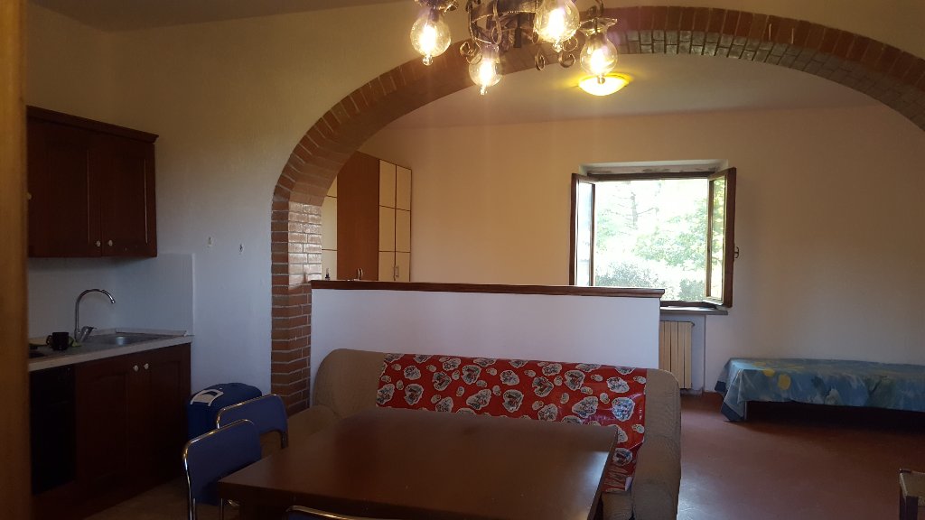 Monolocale con giardino a Fauglia