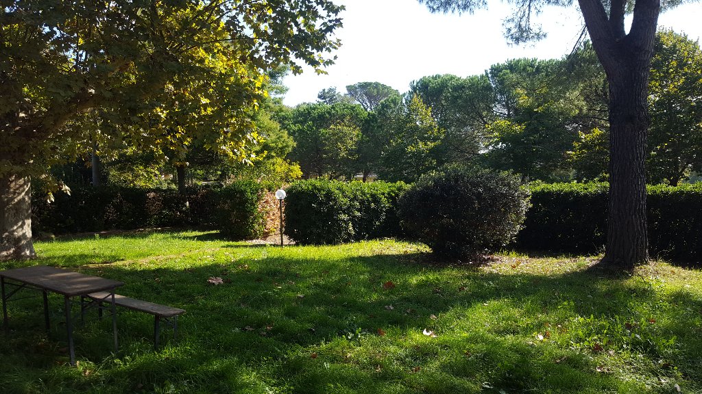 Monolocale con giardino a Fauglia