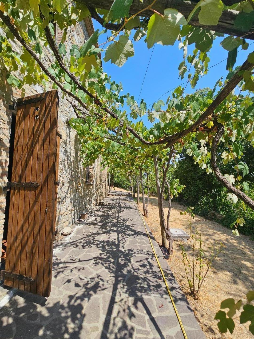 Rustico con giardino, Chianni rivalto