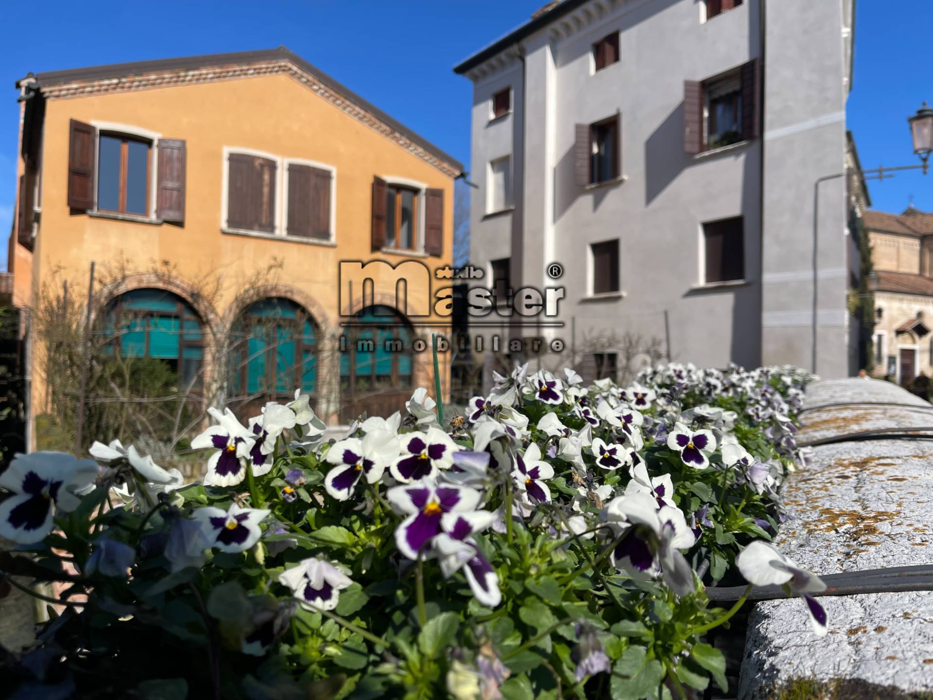 Bilocale in affitto, Treviso centro storico