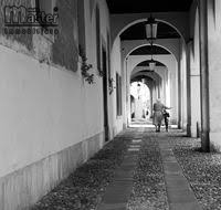 Negozio in affitto a Treviso, Centro storico