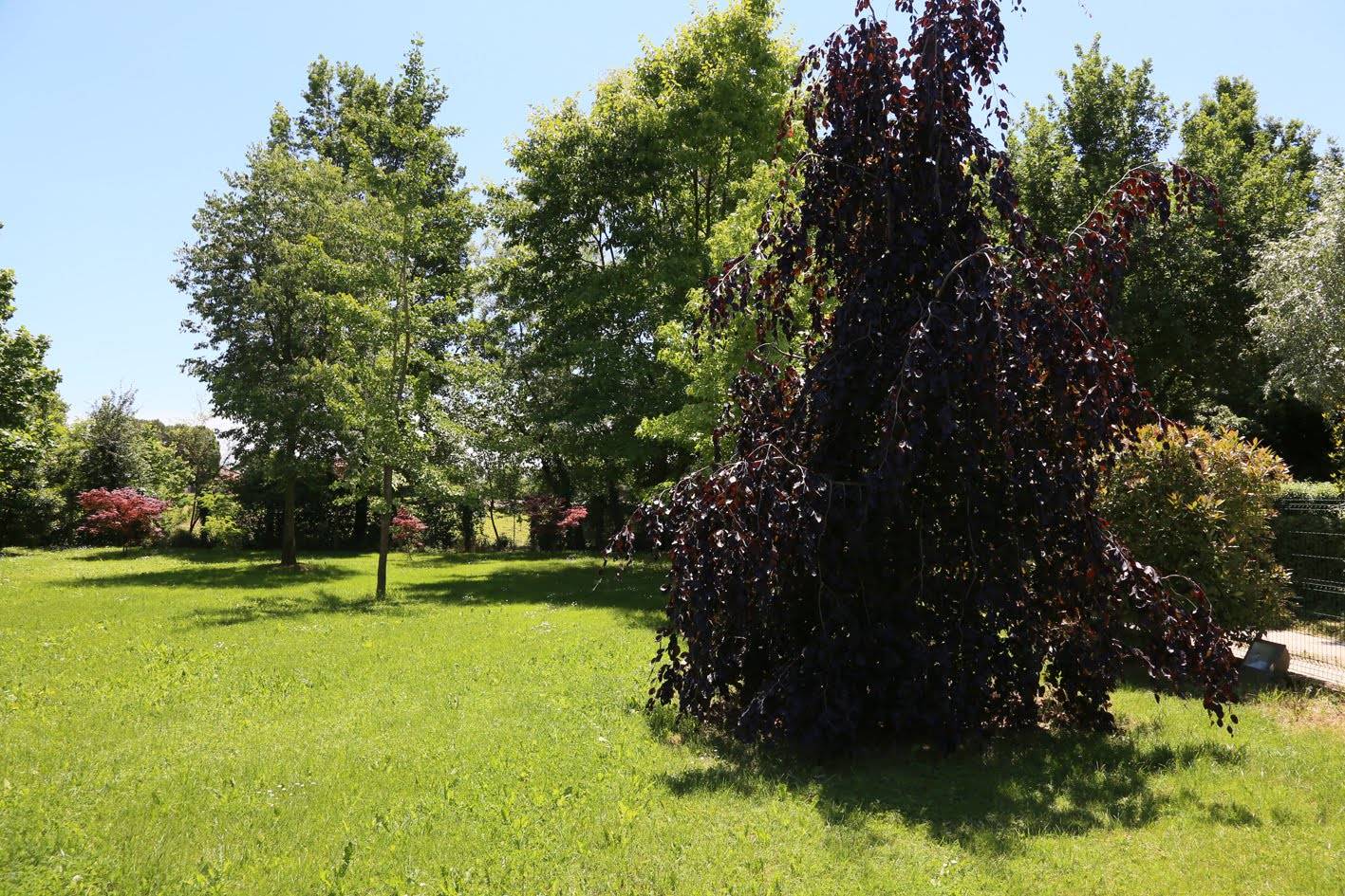 Rustico in vendita a Treviso, Canizzano