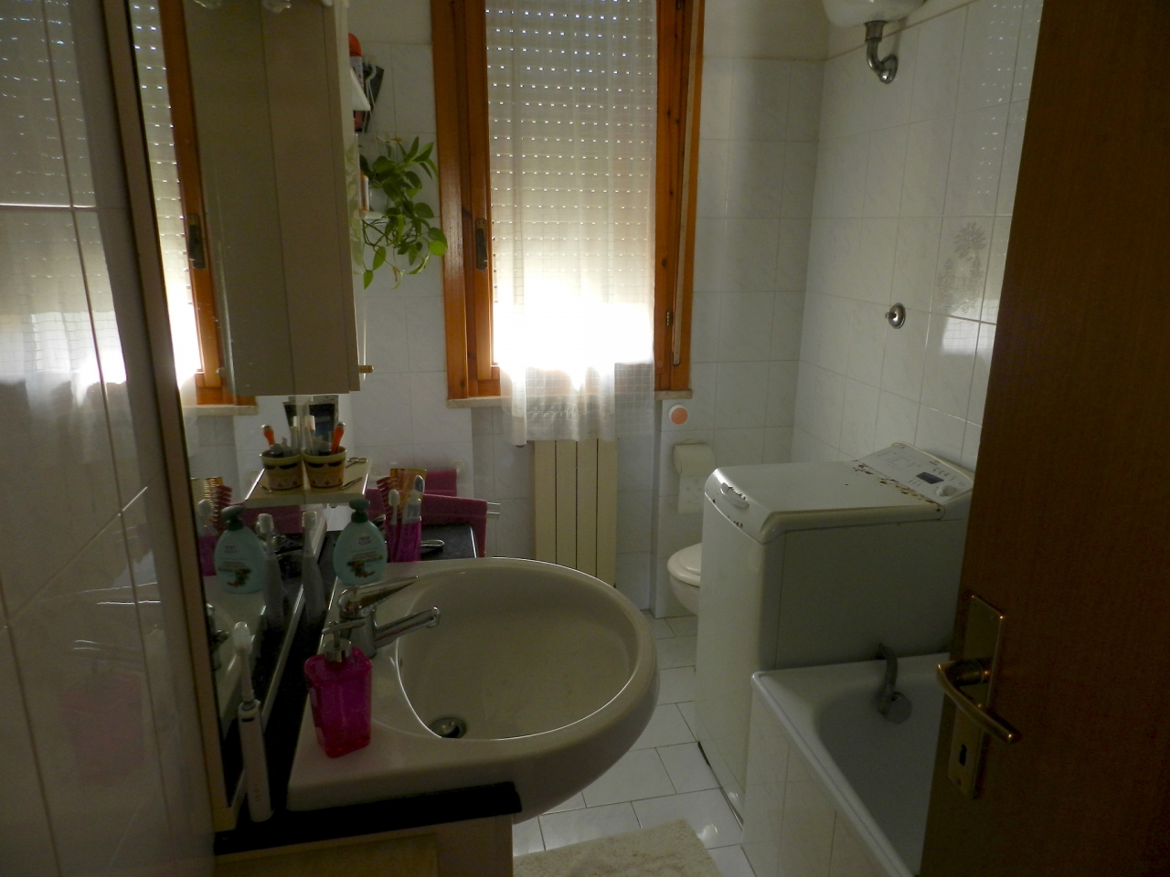 Trilocale con terrazzo a Rosignano Marittimo