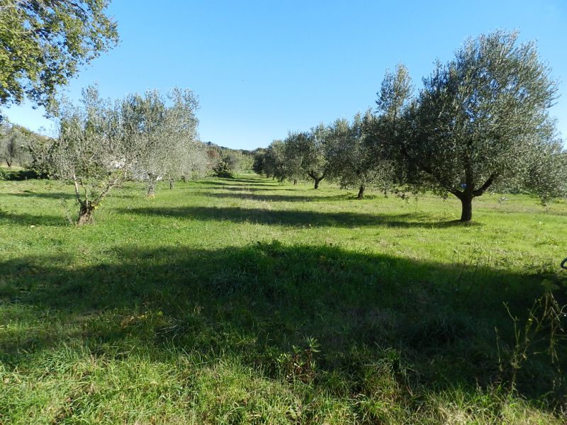 Villa con giardino a Rosignano Marittimo