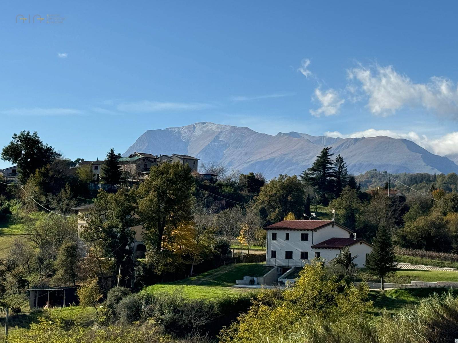 immagine annuncio 3 di 6