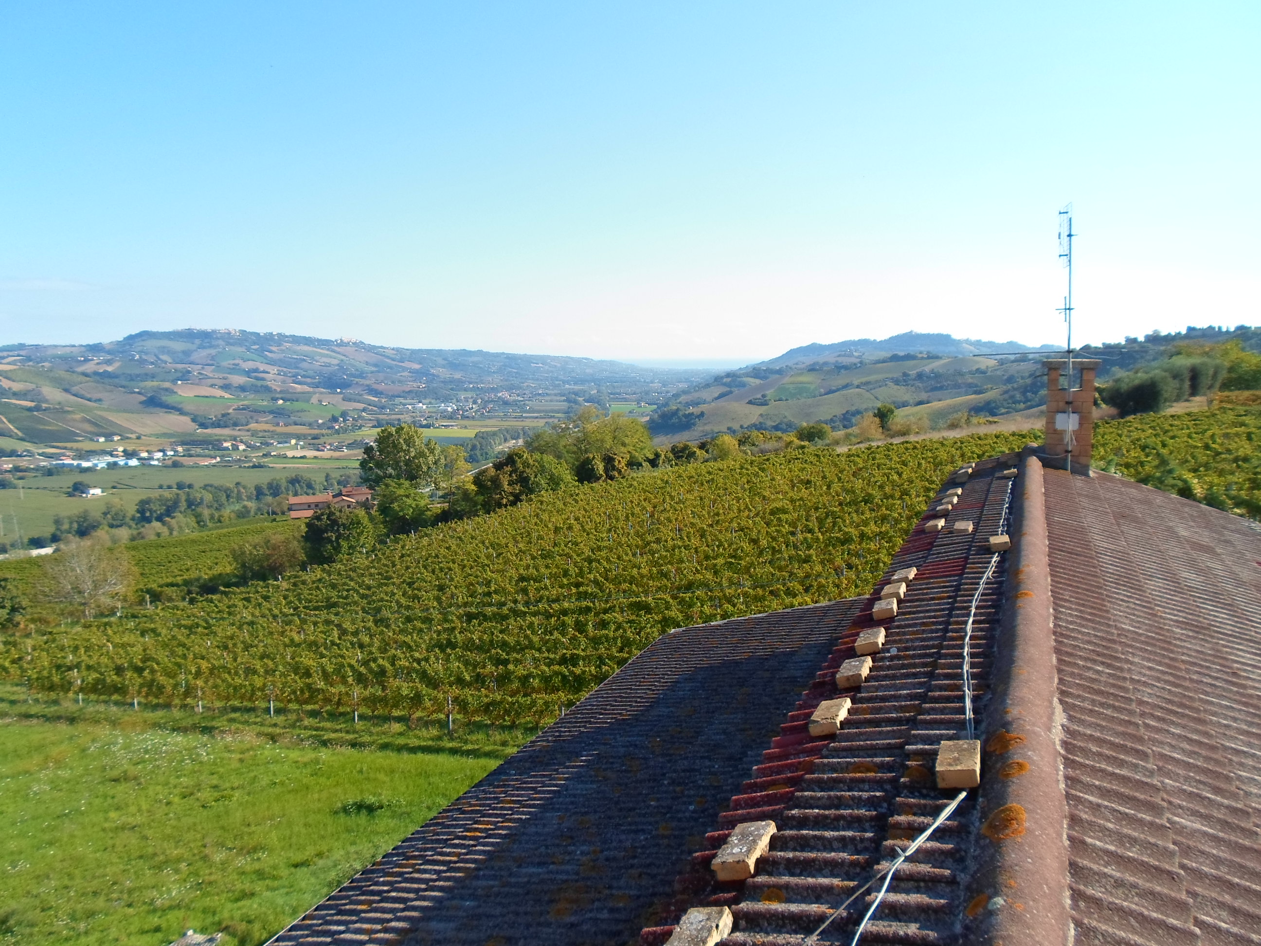 immagine annuncio 2 di 6