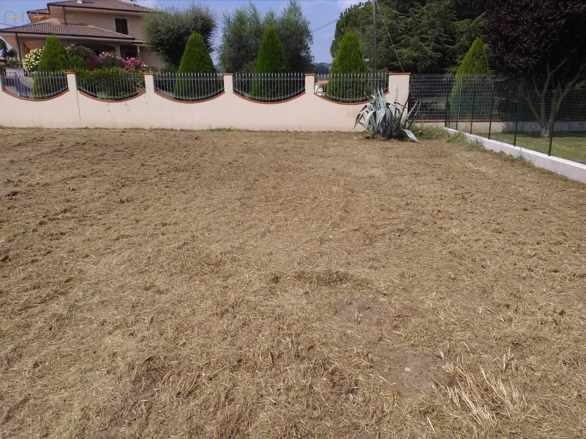immagine annuncio 4 di 6
